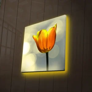 Erbjudandepris Canvastavla med LED-belysning 28x28 cm - Vacker tulpan i stark orange färg Orange / Grön / Svart - Inredning