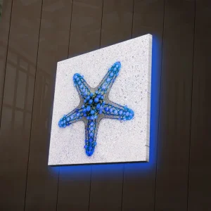 Canvastavla med LED-belysning 28x28 cm - Stjärna av havet i blå nyanser Blå / Ljusblå / Beige - Inredning Populär