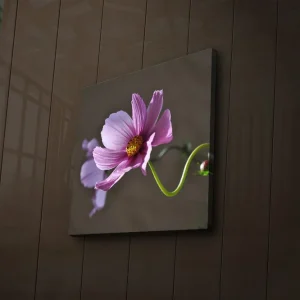 Canvastavla med LED-belysning 40x40 cm - Rosa blommor med grön stjälk Rosa / Grön - Inredning Handla nu