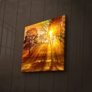 Erbjudande Canvastavla med LED-belysning 40x40 cm - Gyllene höstlandskap med solstrålar som strålar genom träden Guld / Orange / Brun - Inredning