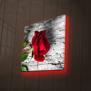 Köp nu Canvastavla med LED-belysning 28x28 cm - Röd ros mot en grå träbakgrund Röd / Grå / Grön - Inredning