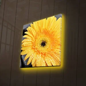 Canvastavla med LED-belysning 28x28 cm - Storslagen gul gerbera med droppar av vatten Gul / Svart - Inredning Kampanj