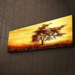 Canvastavla med LED-belysning 30x90 cm - Ensam akaciaträd mot en gyllene solnedgång Guld / Brun / Orange - Inredning Köp nu