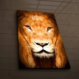 Fynd Canvastavla med LED-belysning 70x45 cm - Majestätisk lejonhuvud med intensiva ögon Guld / Brun / Svart - Inredning