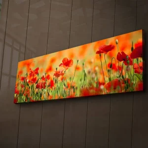 Extra rabatt Canvastavla med LED-belysning 30x90 cm - Fält av röda vallmo-blommor i en grönskande omgivning Röd / Grön / Orange - Inredning