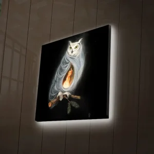Canvastavla med LED-belysning 28x28 cm - Uggla med en eld inuti kroppen Svart / Vit / Orange - Inredning Nyhet