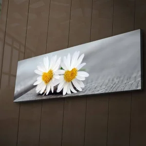 Canvastavla med LED-belysning 30x90 cm - Två vita prästkragar med gula mittar Vit / Gul - Inredning Begränsat antal