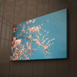 Begränsat antal Canvastavla med LED-belysning 45x70 cm - Blommande körsbärsgrenar mot en klar blå himmel Rosa / Blå - Inredning