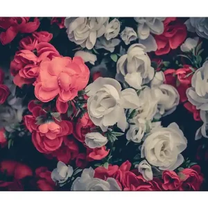 Canvastavla 70x100 cm - Färgglada blommor i röd och vit nyans - Inredning & dekor Fynd