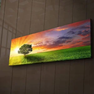 Canvastavla med LED-belysning 30x90 cm - Soluppgång över en grön äng med ett ensamt träd Grön / Orange / Blå - Inredning Outlet