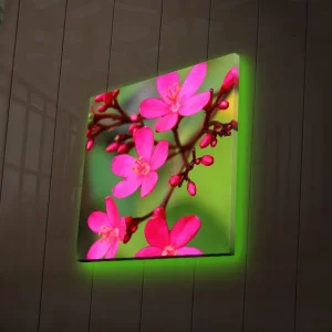 Endast idag Canvastavla med LED-belysning 40x40 cm - Färgglad bukett av blommor Rosa / Grön / Ljusgrön - Inredning