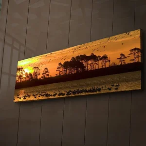 Canvastavla med LED-belysning 30x90 cm - Solnedgång över en sjö med silhouetter av träd och fåglar i flykt Orange / Svart / Gult - Inredning Begränsad tid