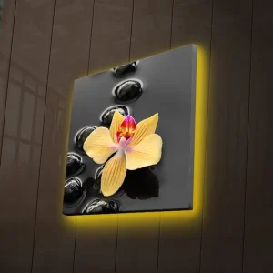 Populär Canvastavla med LED-belysning 40x40 cm - Gul orkidé på svarta stenar Gul / Svart - Inredning