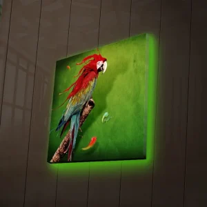 Canvastavla med LED-belysning 40x40 cm - Färgglad papegoja på en grön bakgrund Grön / Röd / Blå - Inredning Lägg i varukorgen