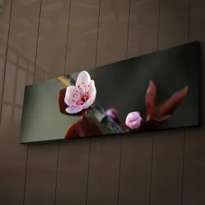 Canvastavla med LED-belysning 30x90 cm - Vacker blomma med rosa kronblad och mörkgröna blad Rosa / Mörkgrön - Inredning Bästa pris