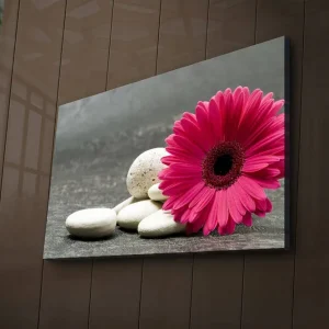 Canvastavla med LED-belysning 45x70 cm - Rosa blomma med vita stenar Rosa / Vit / Grå - Inredning Rabatt