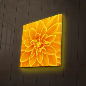 Kampanj Canvastavla med LED-belysning 40x40 cm - Storslagen blomma i gult Gult / Orange - Inredning