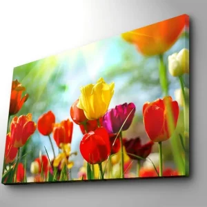 Canvastavla 70x100 cm - Färgglad samling av tulpaner i olika nyanser som blomstrar i ljuset - Inredning & dekor Snabb leverans