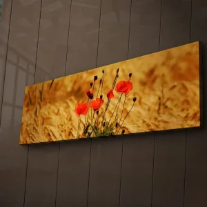 Rea Canvastavla med LED-belysning 30x90 cm - Röd vallmo i gyllene fält Röd / Guldbrun - Inredning
