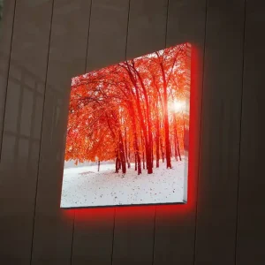 Endast idag Canvastavla med LED-belysning 40x40 cm - Vacker skog med glödande höstlöv Röd / Vit - Inredning
