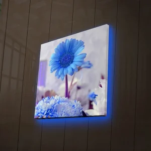Canvastavla med LED-belysning 40x40 cm - Blommor i olika nyanser av blått Blå / Vit - Inredning Köp online