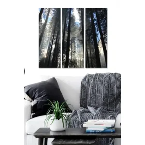 Canvastavla i trä 3-delar 50x70 cm - Höga träd som sträcker sig mot en dimmig himmel - Inredning & dekor Fynd