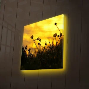 Canvastavla med LED-belysning 40x40 cm - Silhuett av blommor mot en gyllene solnedgång Guld / Svart - Inredning Erbjudandepris