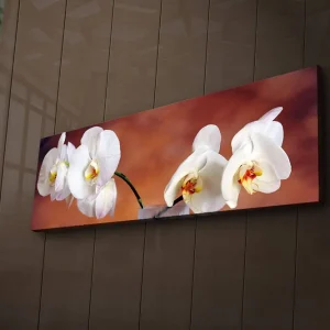 Canvastavla med LED-belysning 30x90 cm - Vackra vita orkidéer i en harmonisk komposition Vit / Beige / Gul - Inredning Endast idag