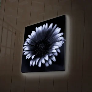 Billigare Canvastavla med LED-belysning 40x40 cm - Svartvit blomma med detaljerade kronblad Svart / Vitt - Inredning