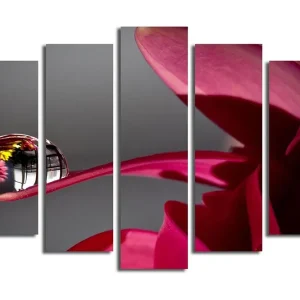 Kundfavorit Stor Canvastavla i 5 delar 105x70 cm - Droppar på en blomma med reflektioner av omgivningen Mörkröd / Rosa / Klar (transparent) - Inredning