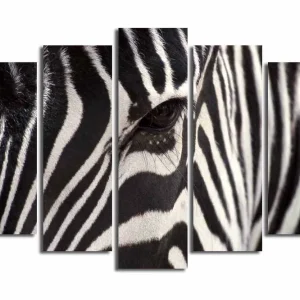 Rabatter Stor Canvastavla i 5 delar 105x70 cm - Närbild av en zebra med tydliga svartvita ränder Svart / Vit - Inredning