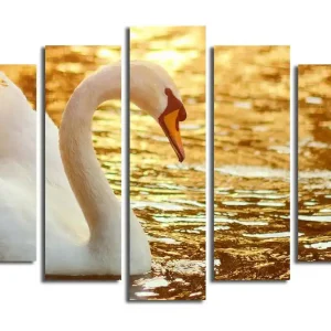 Stor Canvastavla i 5 delar 105x70 cm - Elegant svan vid vattenytan Vit / Guld / Orange - Inredning Fri frakt