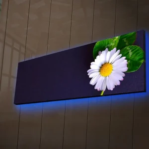 Canvastavla med LED-belysning 30x90 cm - Vacker prästkrage med gröna blad på en mörk bakgrund Vit / Grön / Mörkblå - Inredning Handla nu