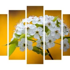 Stor Canvastavla i 5 delar 105x70 cm - Vacker bukett av vita blommor mot en varm gul bakgrund Vit / Gul - Inredning Billig