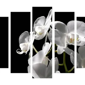 Stor Canvastavla i 5 delar 105x70 cm - Vit orkidé med eleganta blommor Vit / Grön - Inredning Outlet