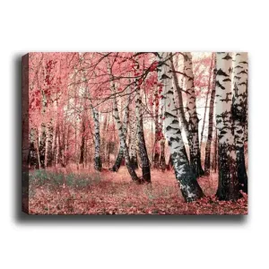 Billig Canvastavla 70x100 cm - Drömlik skog med björkar omgivna av rosa och röda löv - Inredning & dekor