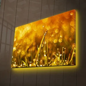 Bästa pris Canvastavla med LED-belysning 45x70 cm - Glittrande gräs med droppar av dagg i gyllene ljus Guld / Grön - Inredning