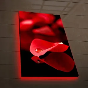 Canvastavla med LED-belysning 70x45 cm - Röda rosblad med vattendroppe Röd / Svart - Inredning Kampanj