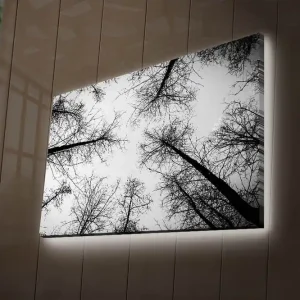 Kampanj Canvastavla med LED-belysning 45x70 cm - Silhuetter av träd mot en ljus bakgrund Svart / Vitt - Inredning