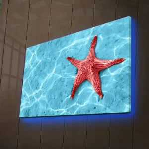 Beställ nu Canvastavla med LED-belysning 45x70 cm - Röd sjöstjärna på en klarblå vattenyta Röd / Klarblå - Inredning