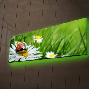 Kampanj Canvastavla med LED-belysning 30x90 cm - Nyckelpiga på en blomma i grönskande miljö Grön / Vit / Röd - Inredning