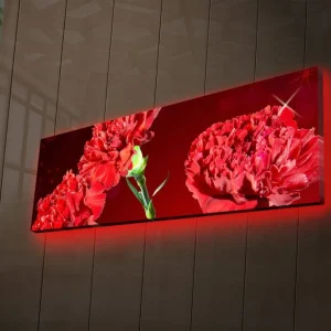 Reapris Canvastavla med LED-belysning 30x90 cm - Färgrik bukett av nejlikor Röd / Grön - Inredning