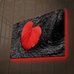 Erbjudande Canvastavla med LED-belysning 50x70 cm - Röd hjärtformad löv på en mörk träyta Röd / Svart - Inredning