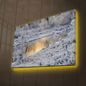 Canvastavla med LED-belysning 45x70 cm - Vinterlandskap med snöklädda träd och en spegelblanka yta av vatten Vit / Grå / Ljusblå - Inredning Fri frakt