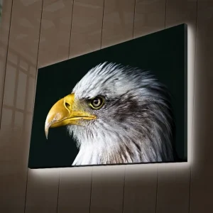 Nyhet Canvastavla med LED-belysning 45x70 cm - Storslagen örn med intensiv blick Vit / Gul / Svart - Inredning