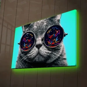 Canvastavla med LED-belysning 45x70 cm - Grå katt med solglasögon som reflekterar färgglada explosioner Grå / Svart / Turkos - Inredning Utförsäljning