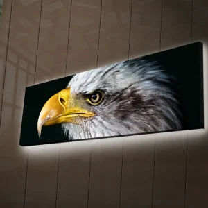 Canvastavla med LED-belysning 30x90 cm - Storslagen örn med detaljerad fjäderdräkt Grå / Gul / Svart - Inredning Lägg i varukorgen