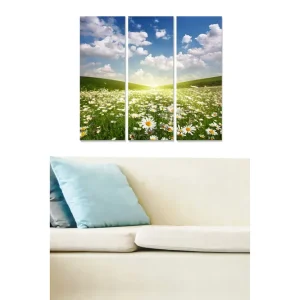 Canvastavla i trä 3-delar 50x70 cm - Blomstrande äng med prästkragar under en klar himmel - Inredning & dekor Fynd
