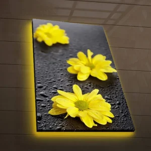 Canvastavla med LED-belysning 70x45 cm - Gula blommor med droppar av vatten på en mörk yta Gul / Svart - Inredning Snabb leverans