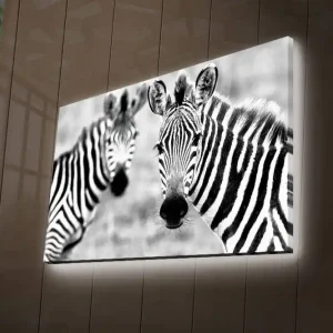 I lager Canvastavla med LED-belysning 45x70 cm - Svartvita zebror med tydliga ränder Svart / Vit - Inredning